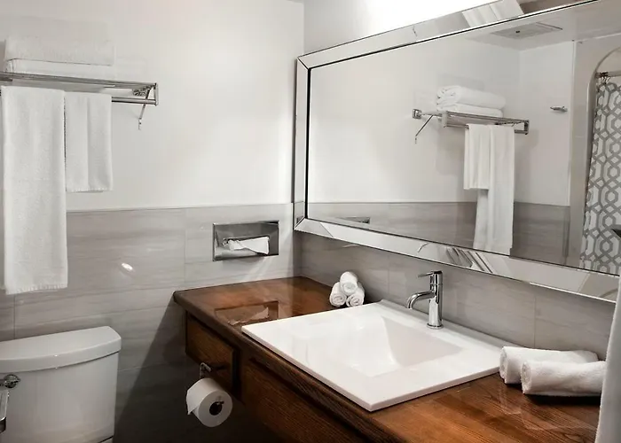 Large Single Room
